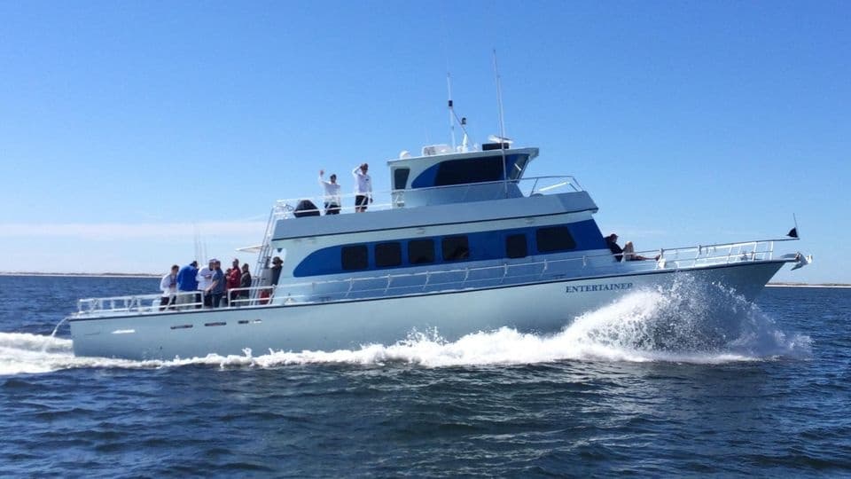 Shared Sunset Dolphin Cruise