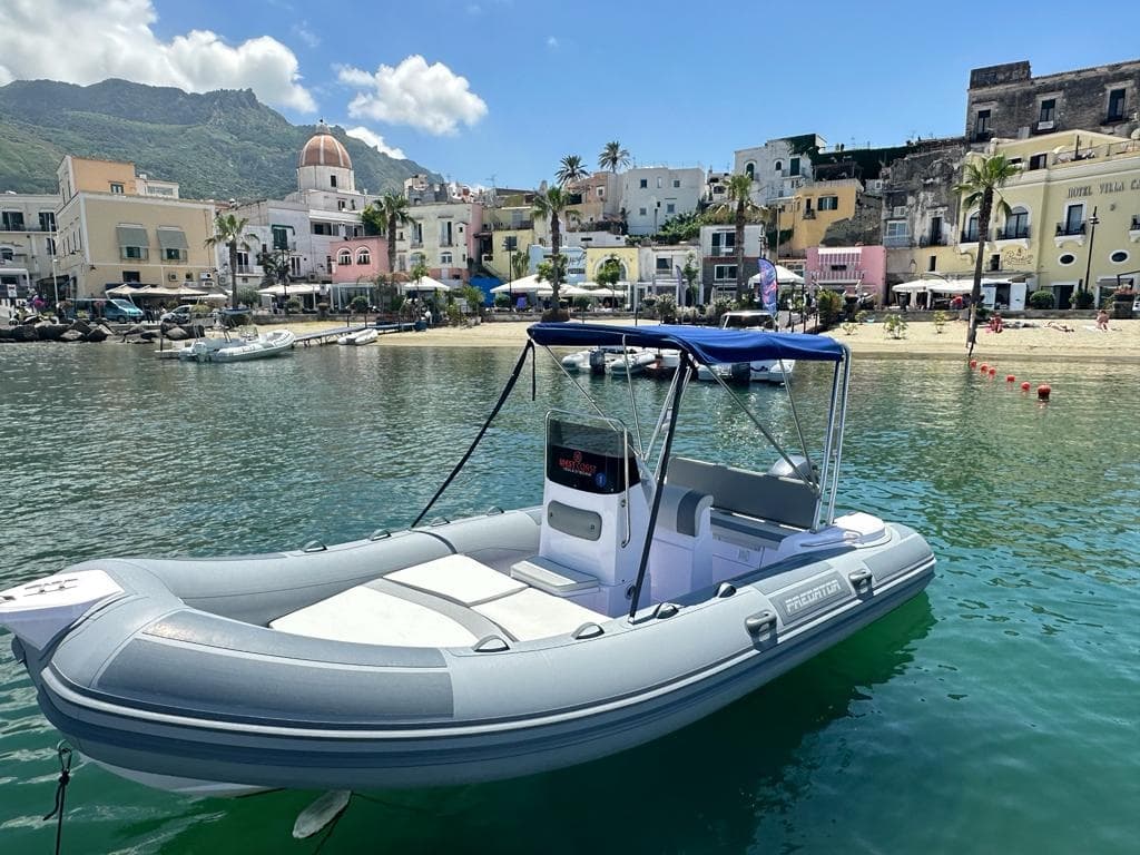 Predator 5.5m • 40hp