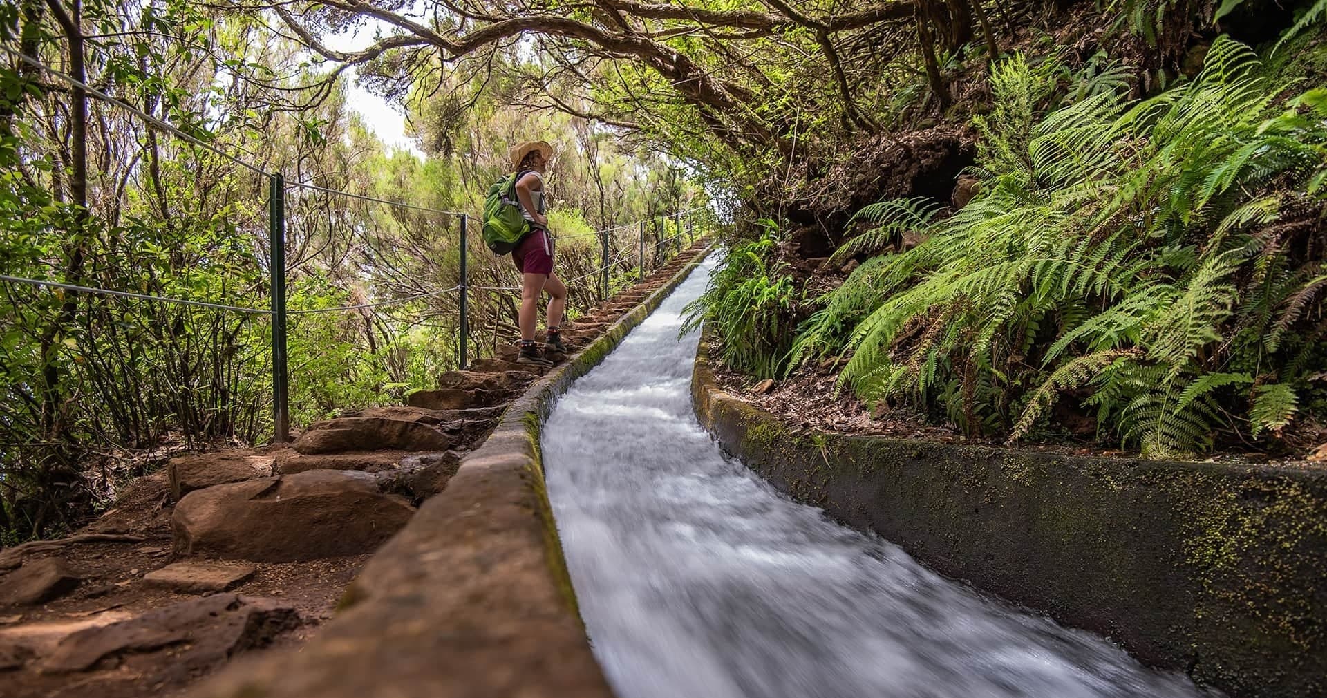 Levada Do Alecrim