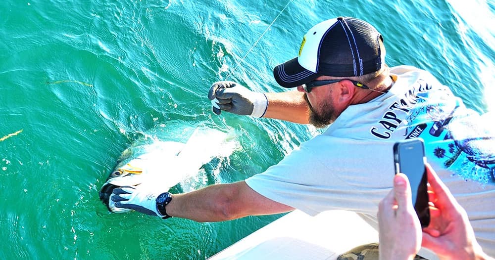 Tampa Tarpon Fishing