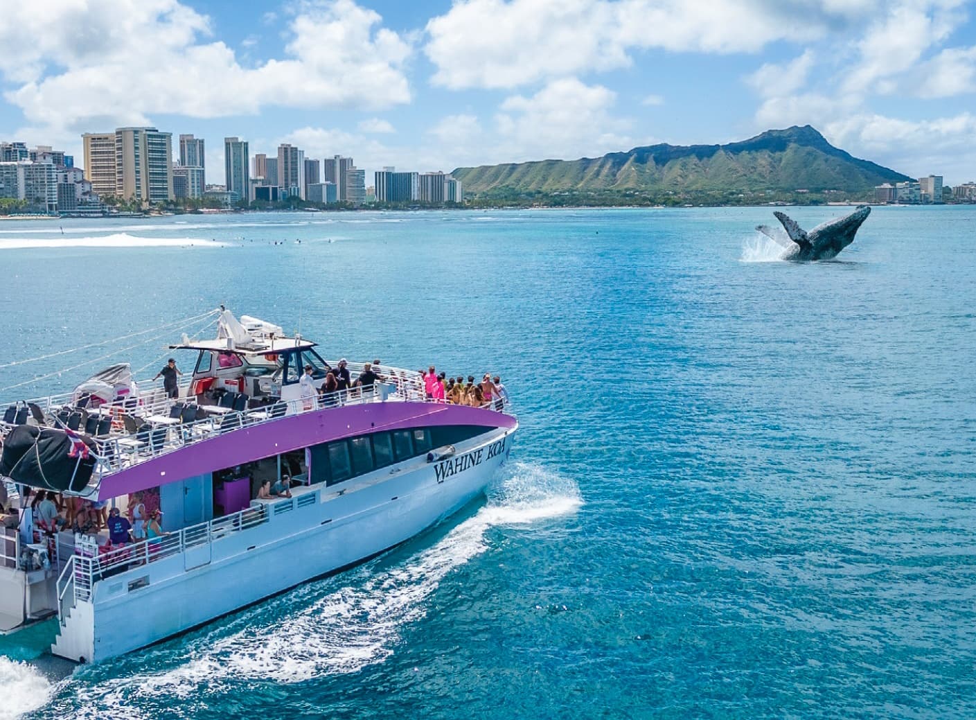 Whale Watching