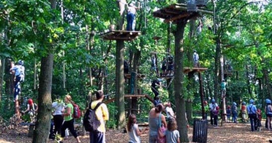 Kletterpark: Familienkarten