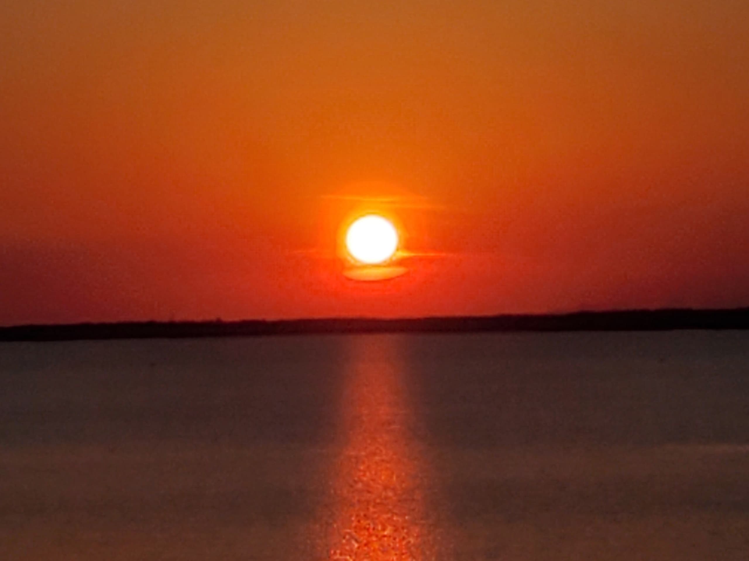 Sunset & Dolphin Cruise