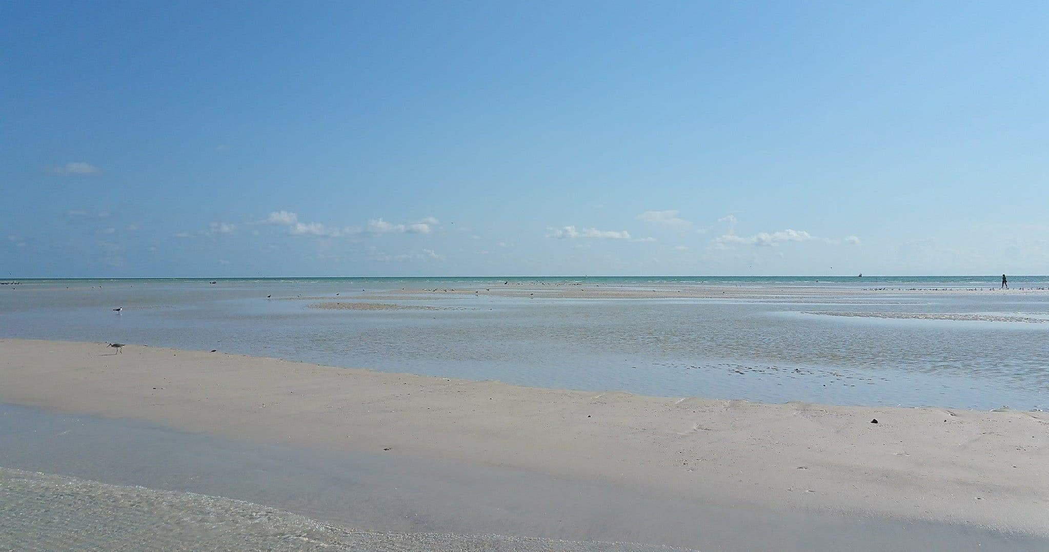 3 Hour Egmont Key Excursion
