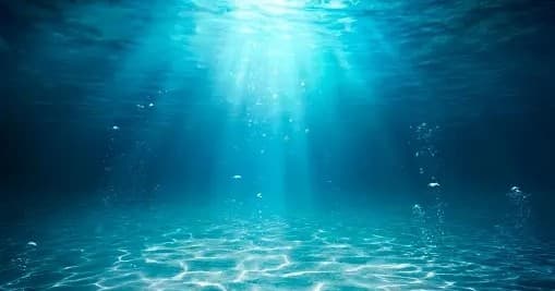 OPEN WATER CLASS SDI - Private Class with eLearning