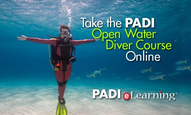 PADI Open Water Diver Course
