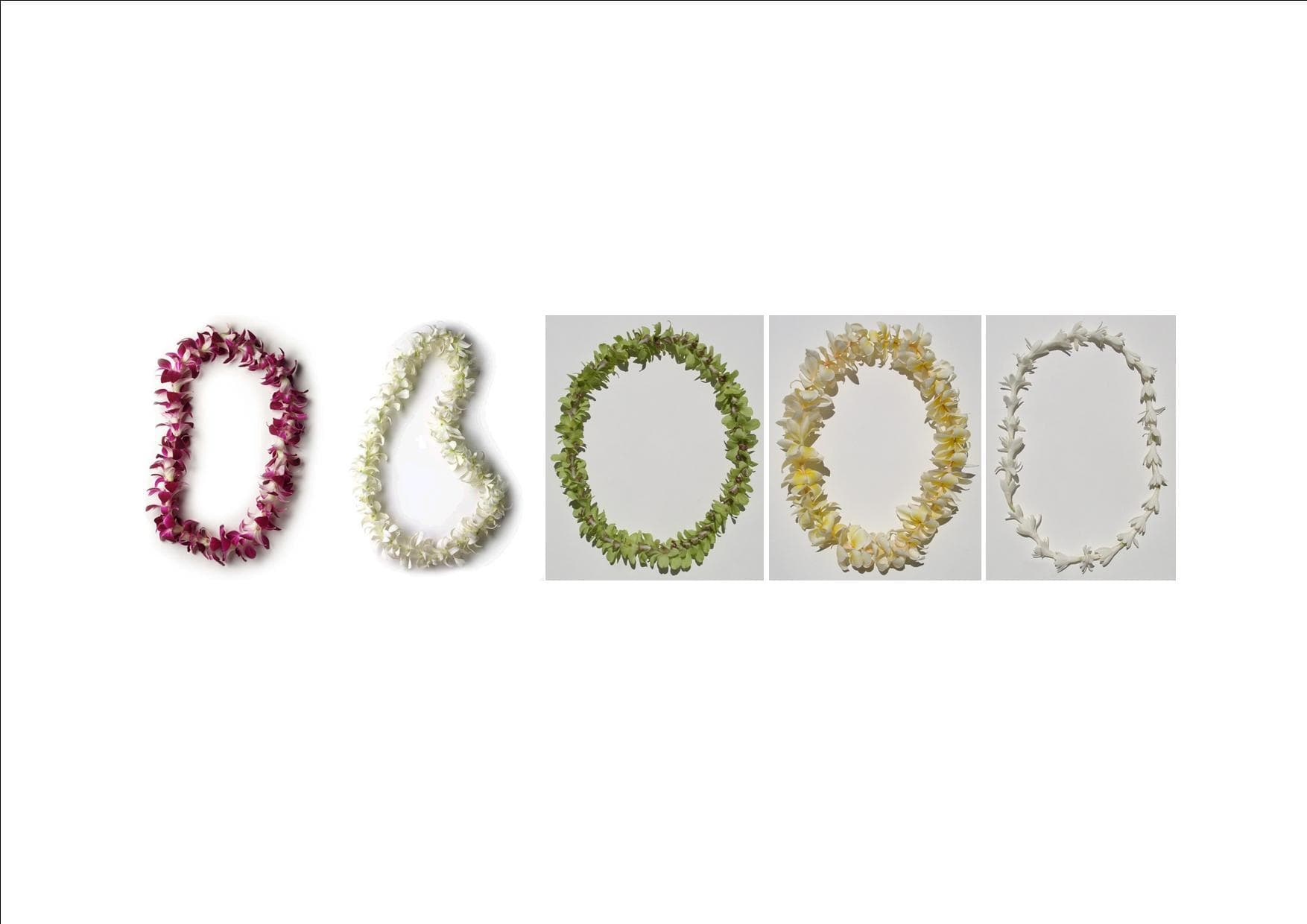 Wholesale Leis & Flowers