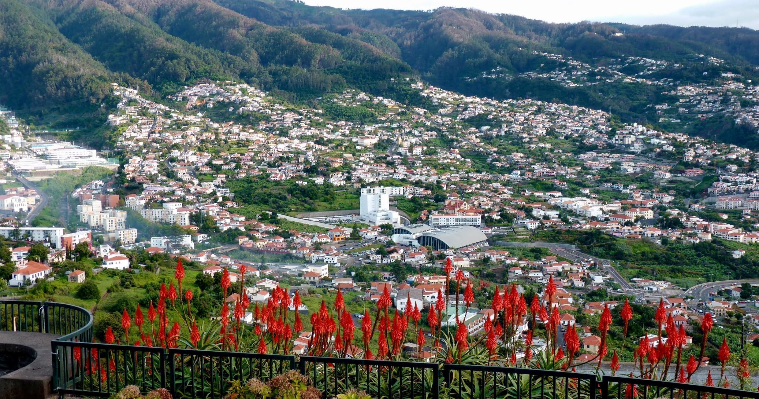 Pico dos Barcelos & Eira do Serrado (Miradouro do Curral das Freiras)