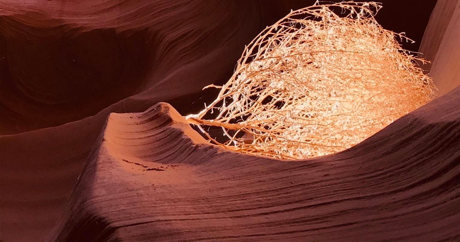 Lower Antelope Canyon and Horseshoe Bend Tours from Page, Arizona