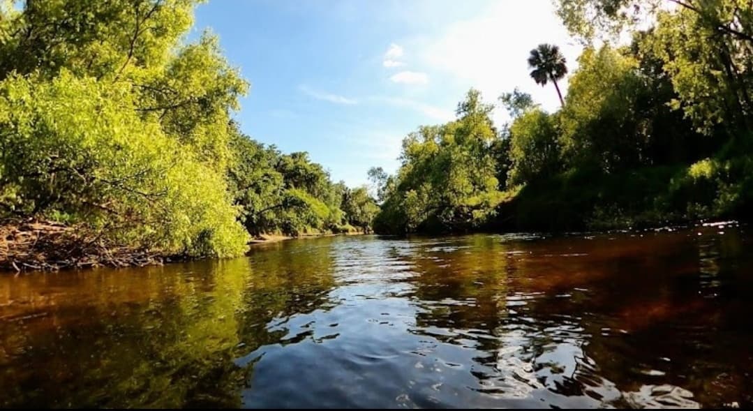 Private Peace River/Wauchula Walk-In Dig and Sift