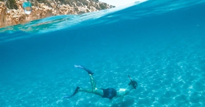Split Snorkel Charter