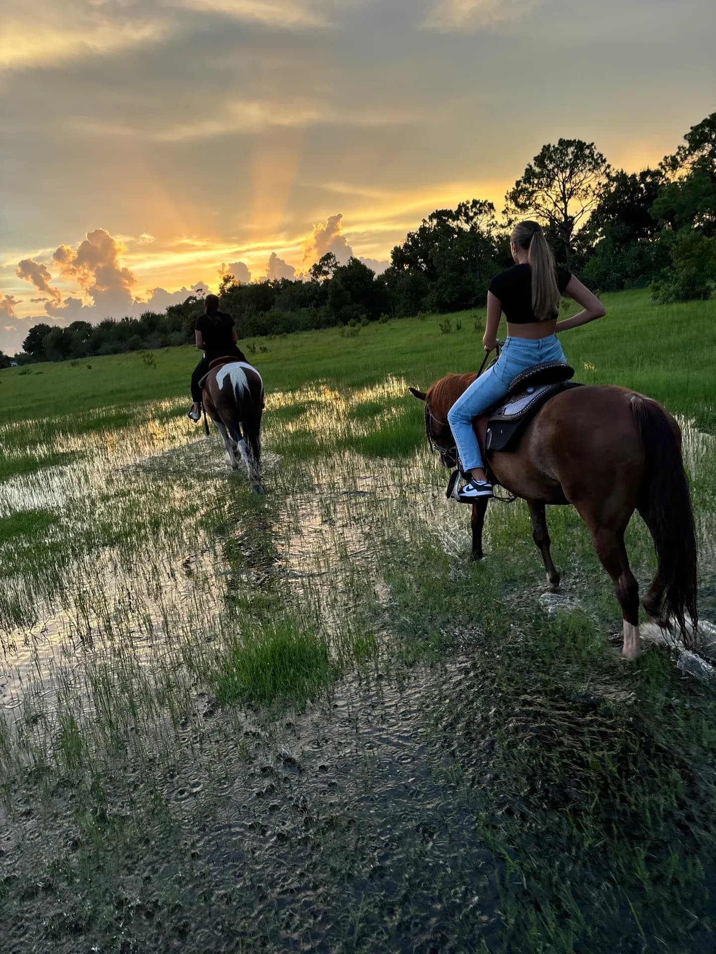 Advanced Trail Ride: The Wilderness Adventure