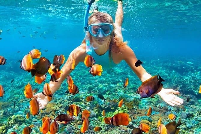 6 Hour Snorkeling