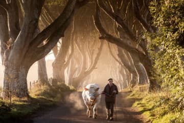 The Ultimate GIANT 2 Day Private Filming Locations Experience Tour - From Belfast