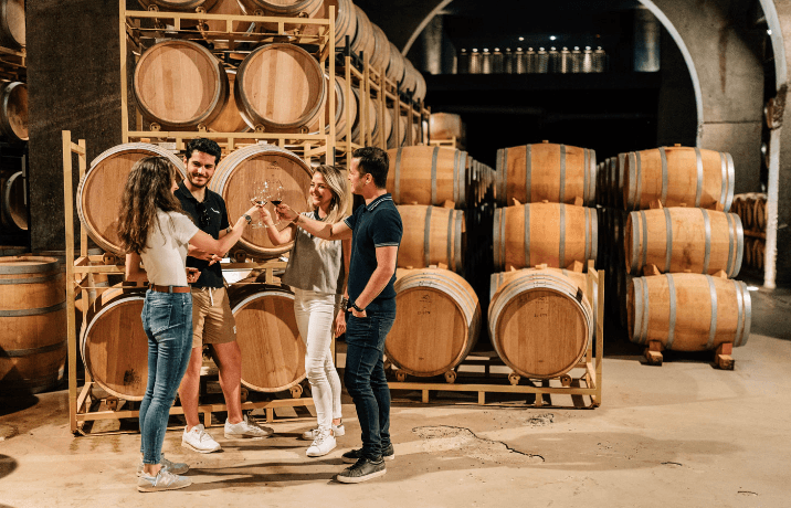 D.O. Madrid: Villages & Wineries