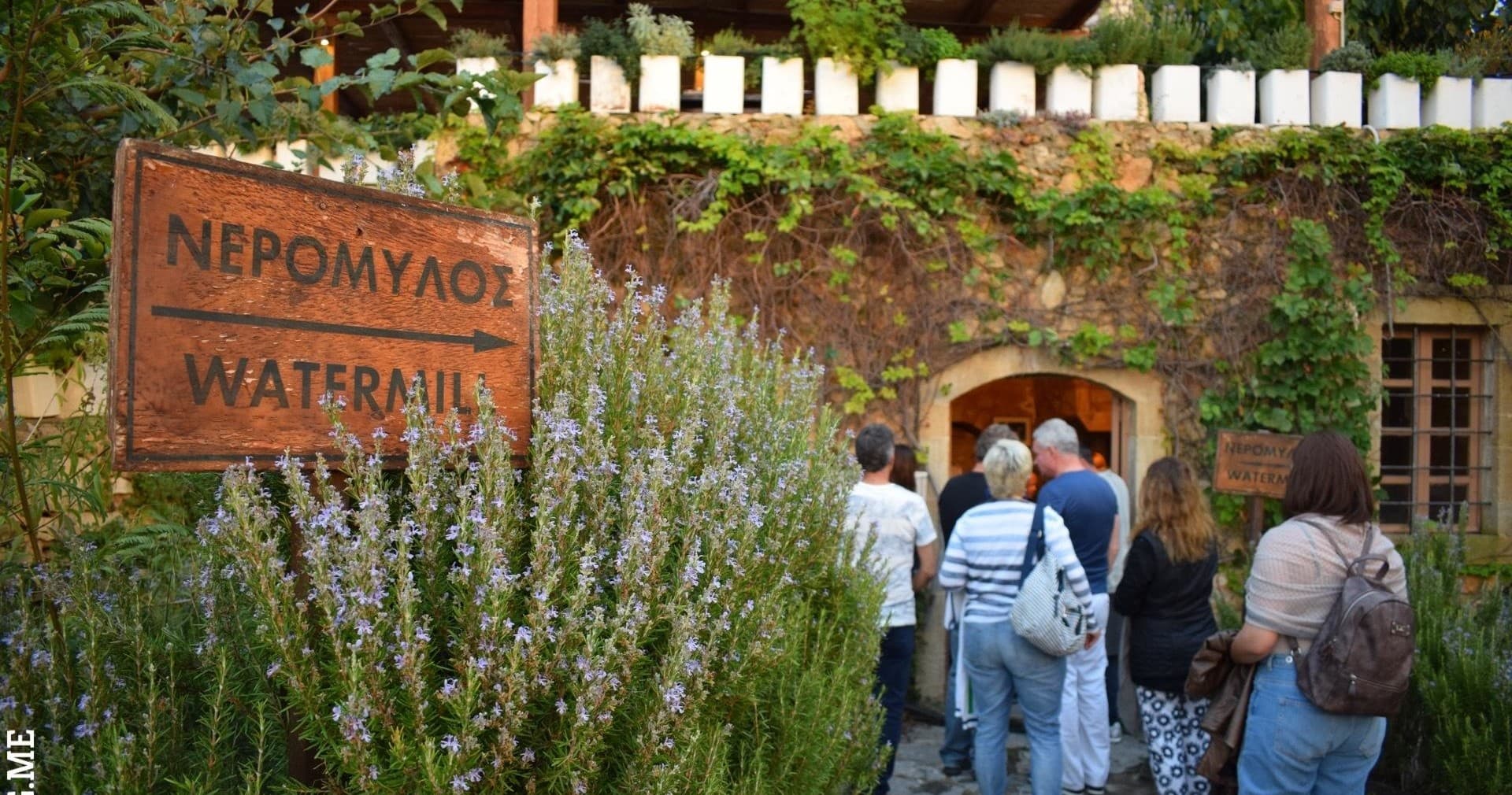 From Chania: Cretan Wine and Olive Oil
