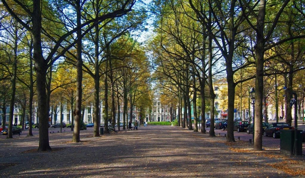 The Hague + Gouda Tour