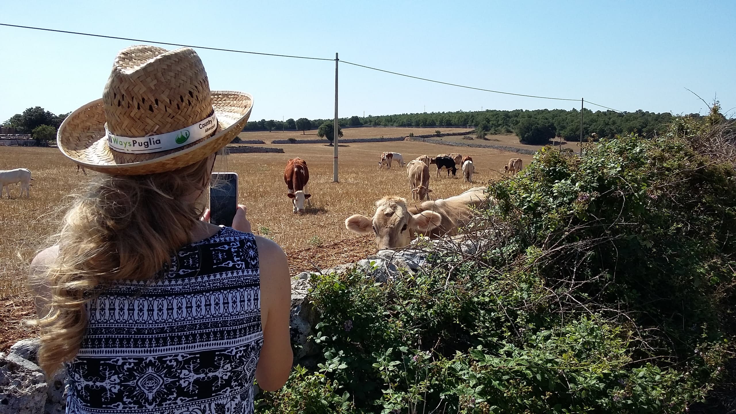 Audio Tour Alberobello + Percorso Rurale
