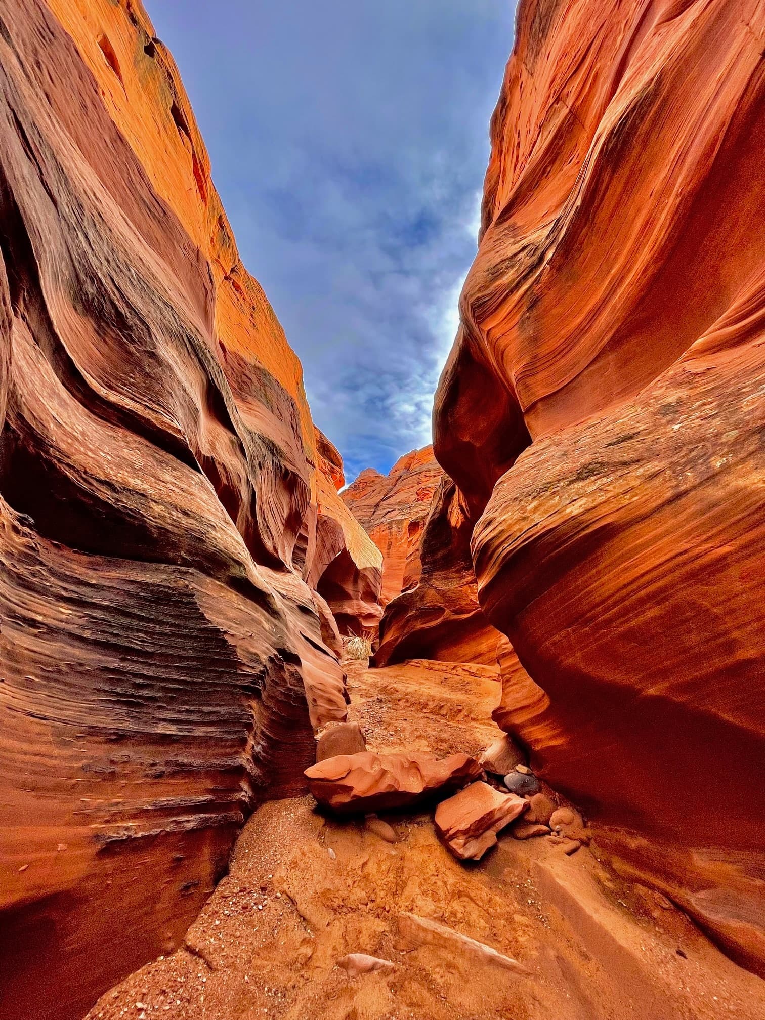 Photo Tour