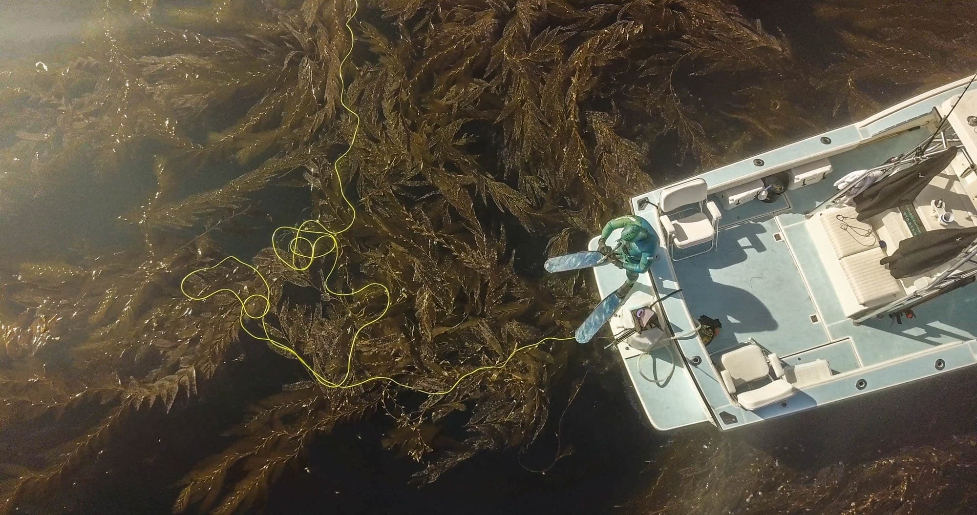 Discover Freediving Class
