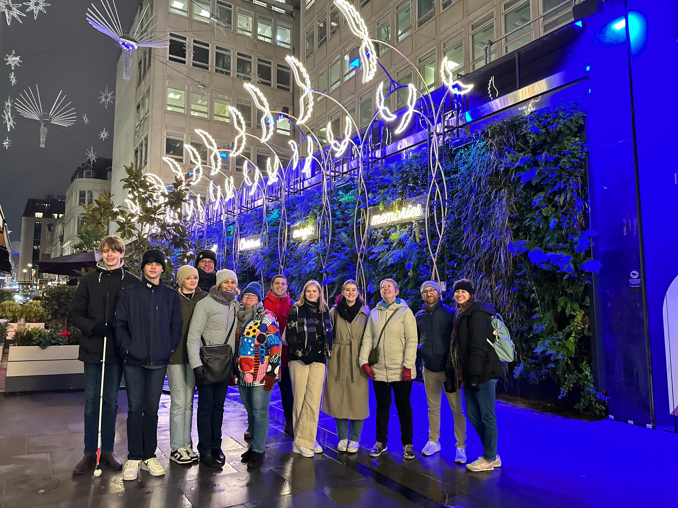 Private Christmas Lights Tour