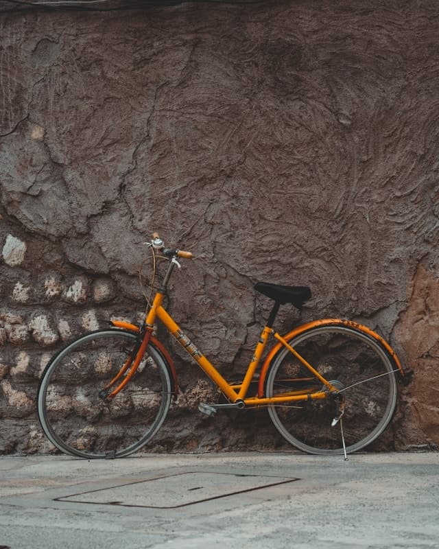 Bike Rentals by Days