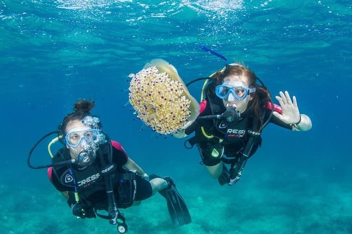 Try Scuba Diving plus Snorkerling plus a Boat Trip
