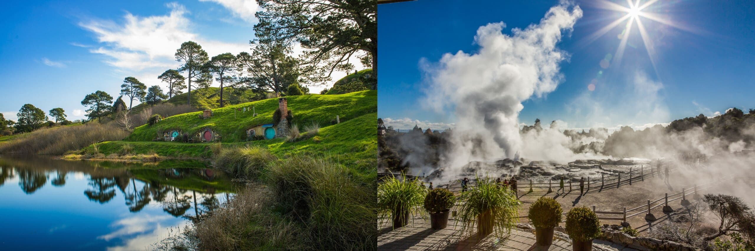 Hobbiton Movie Set + Te Puia Geothermal Valley Private Tour