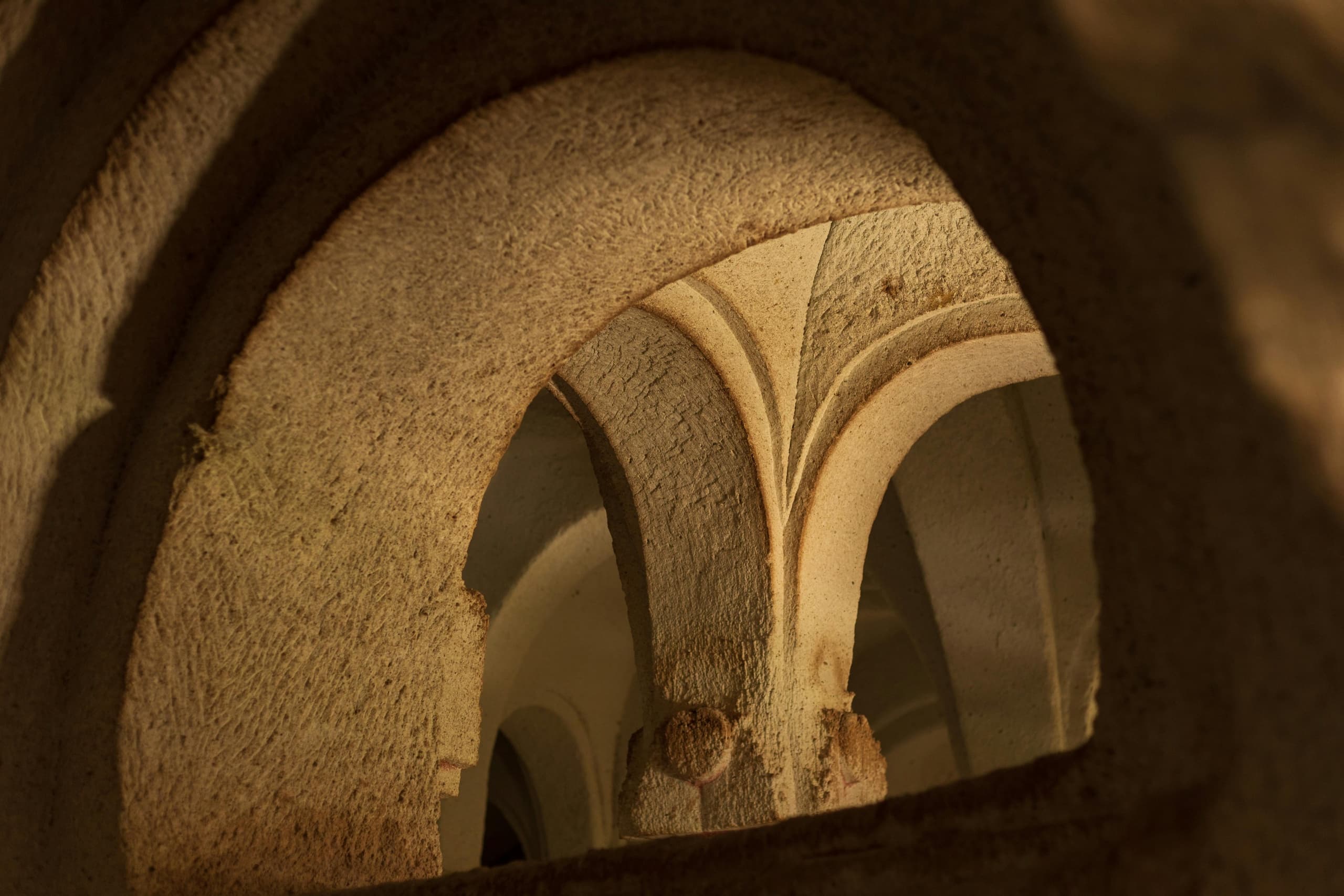 Guided Tour of the Catacombs of Domitilla with Transfer
