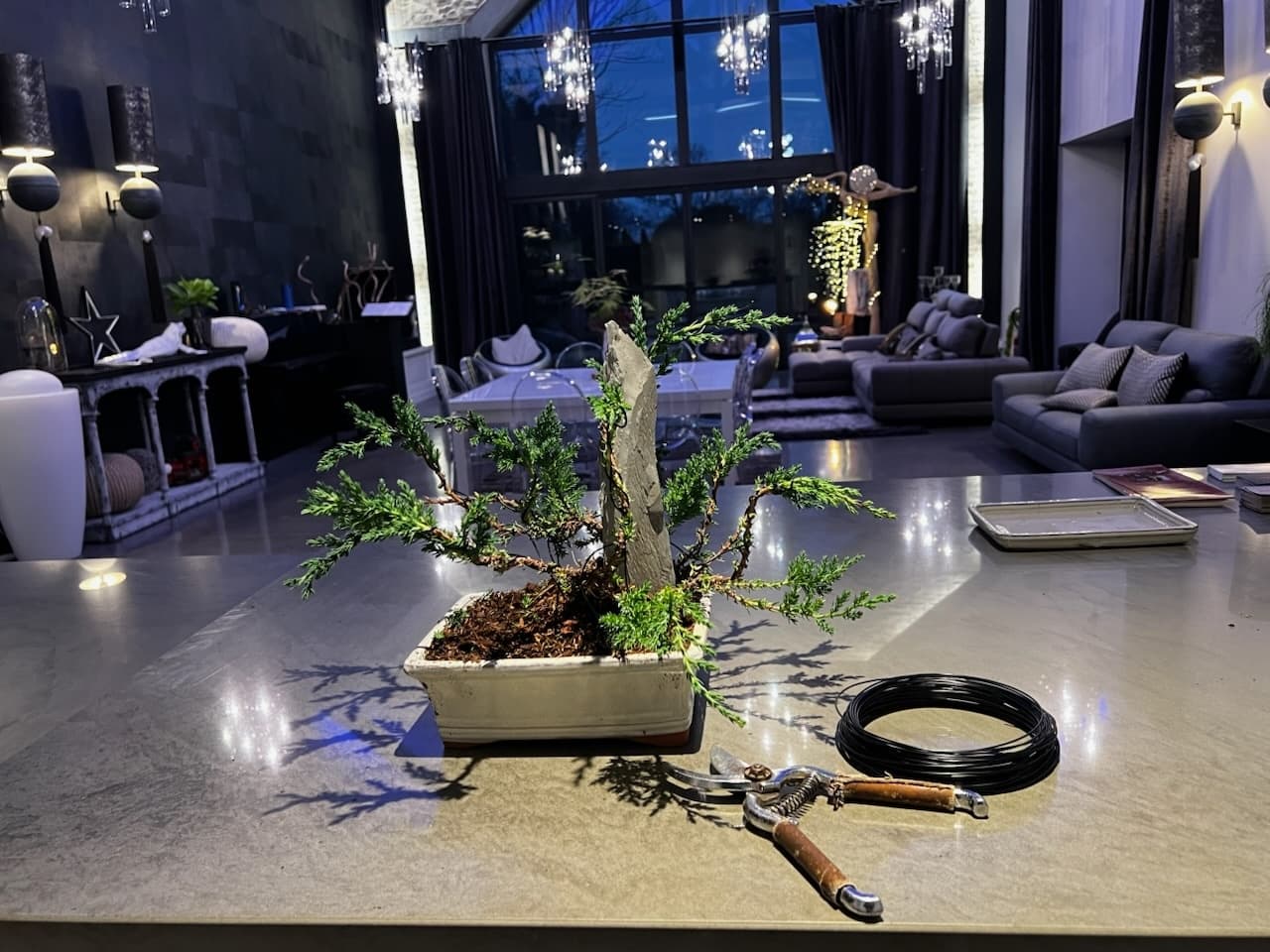 Atelier Bonzaï