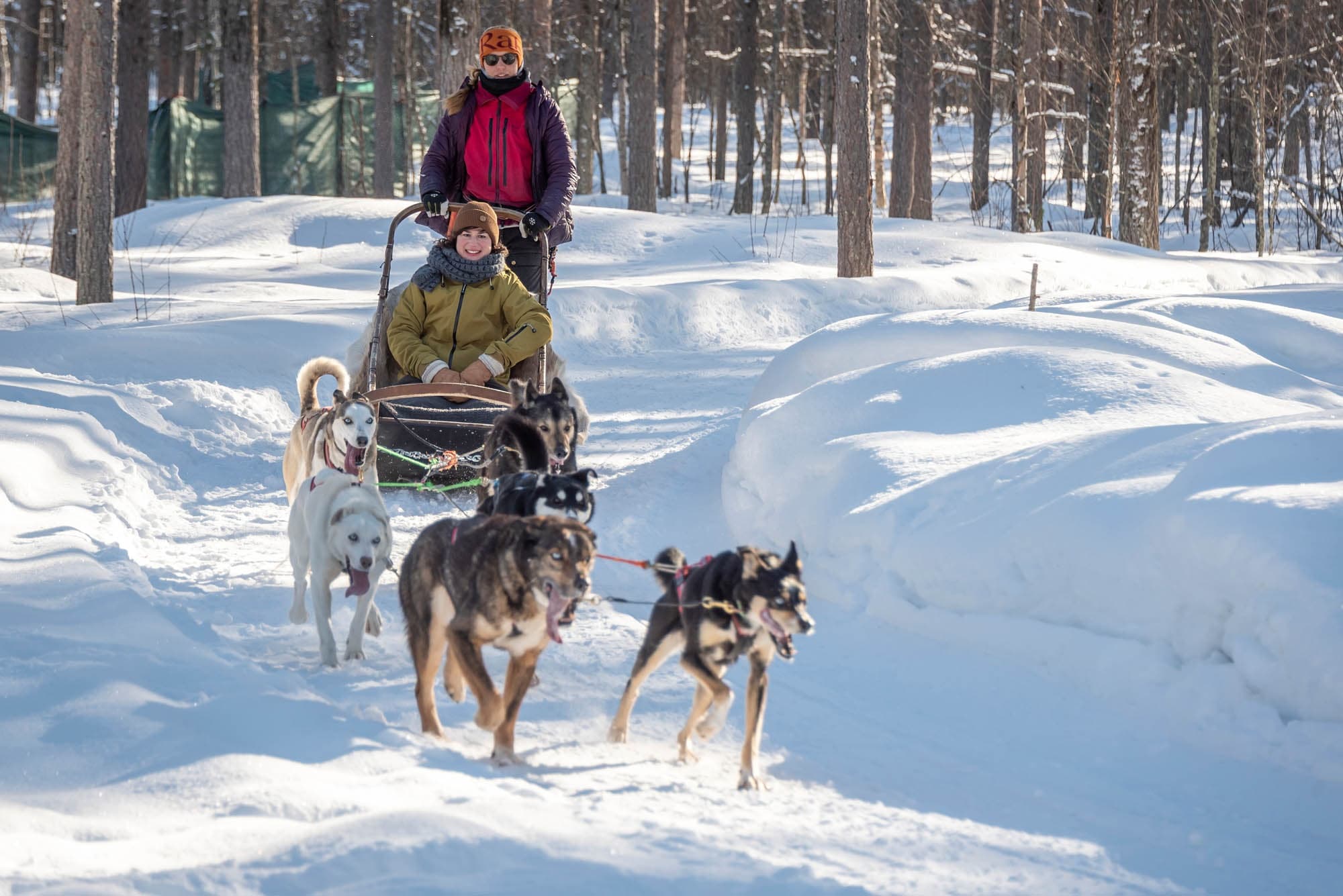 Arctic Husky Circle - Husky Safari