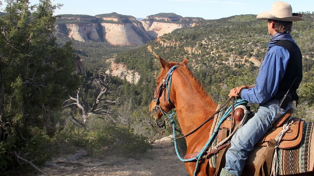 Checkerboard Horseback Ride