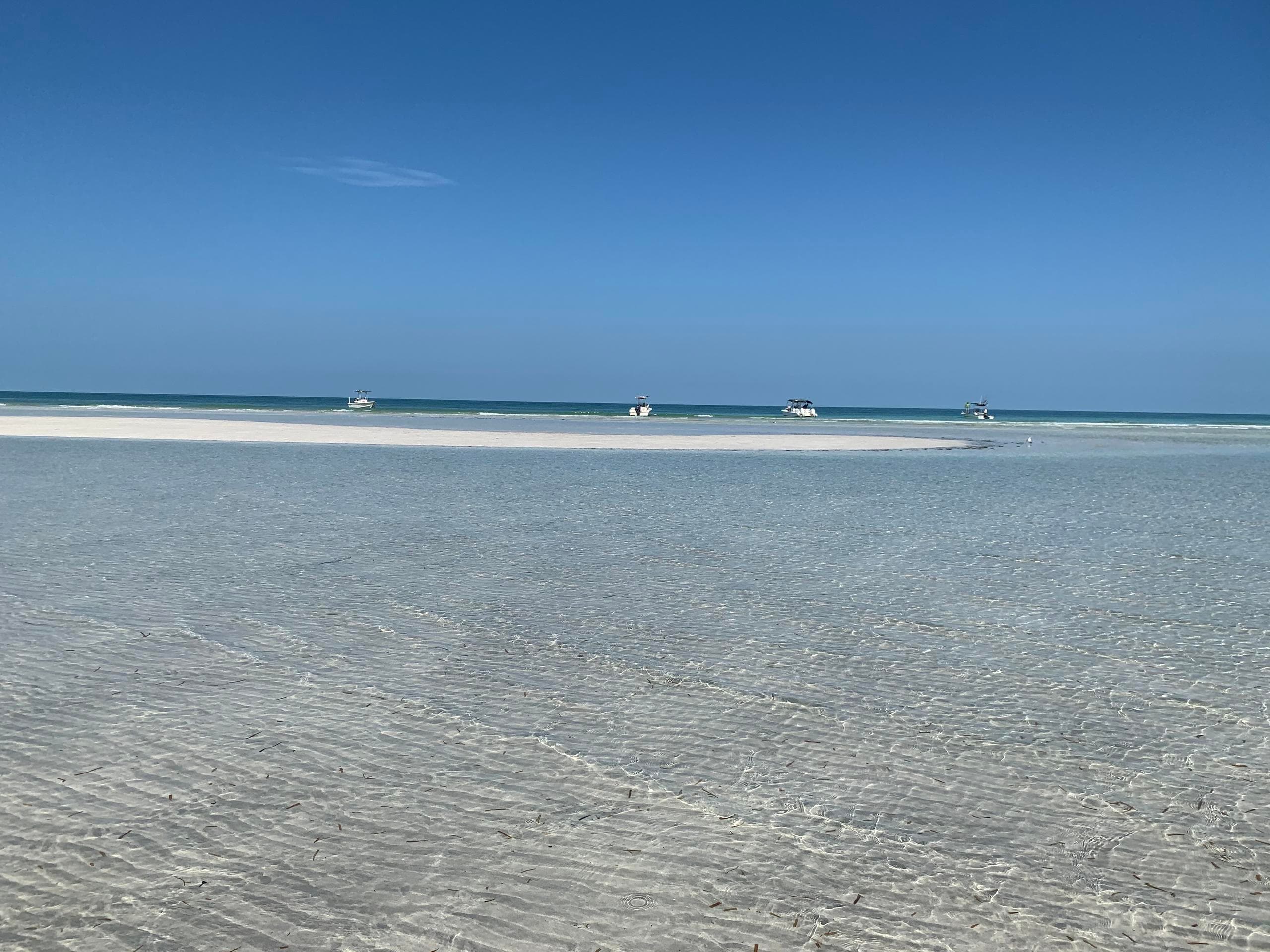 2.5 Hour Sandbar Trip