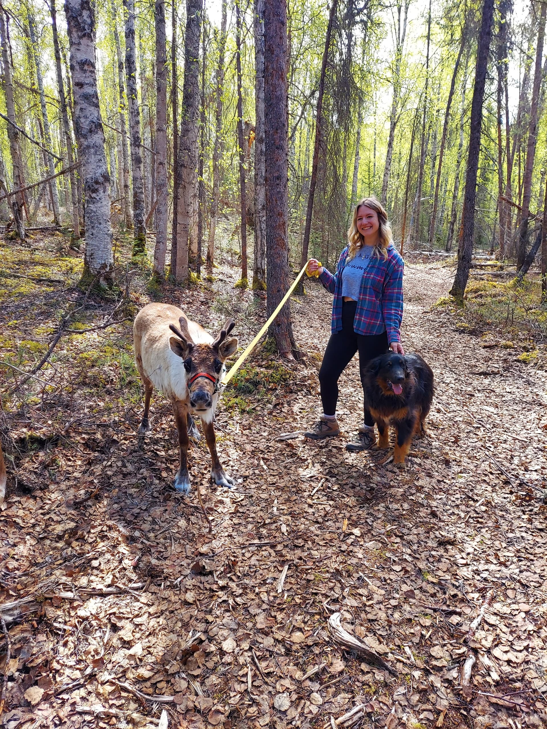The Reindeer Grove Homestead Tour and Forage