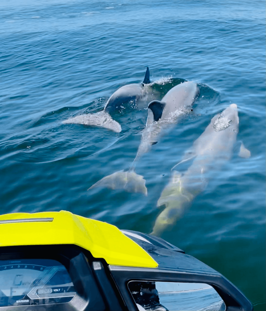 Two Hour Partially Guided Jet Ski Tour