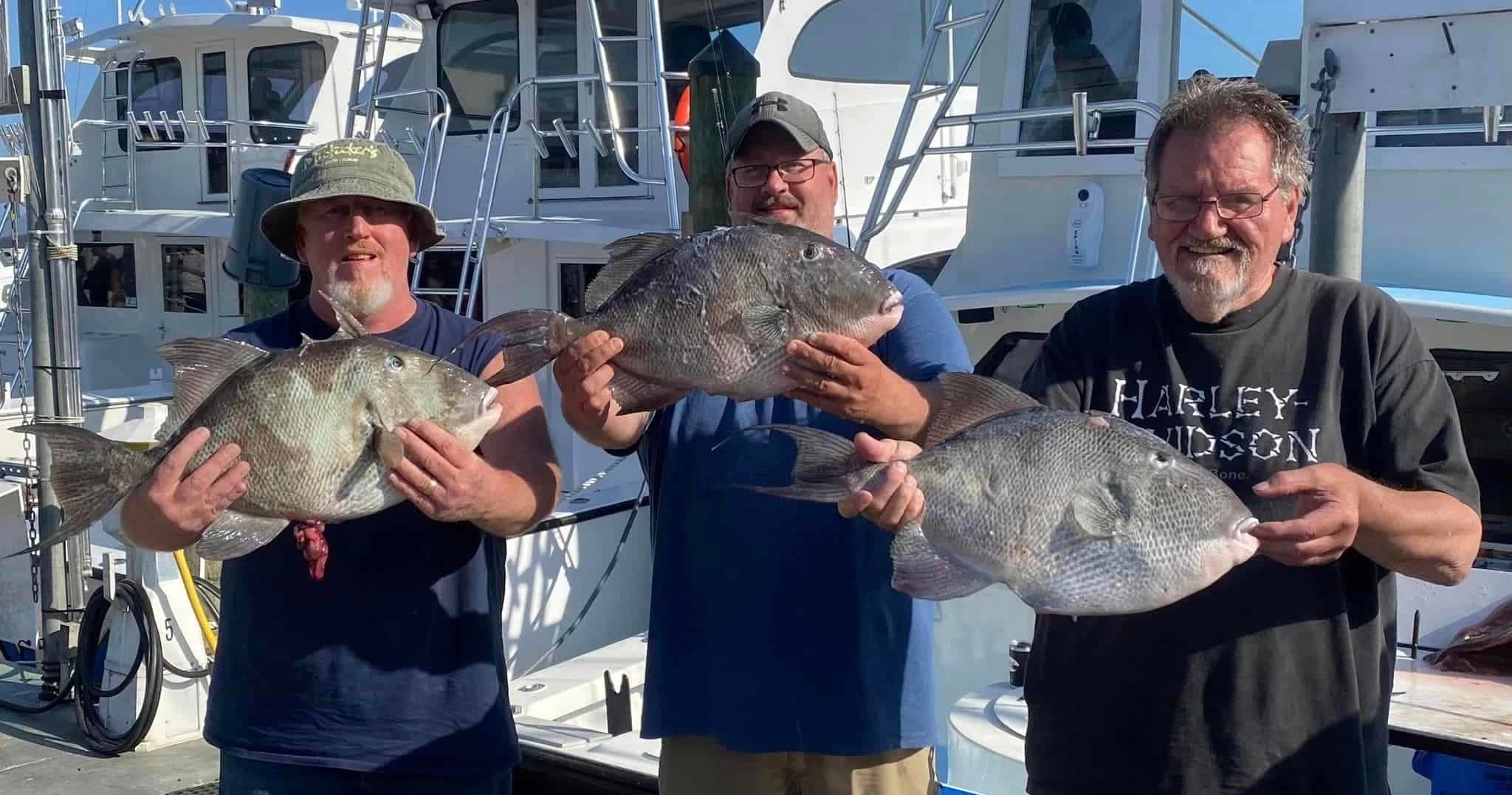 5 Hour Introductory Charter