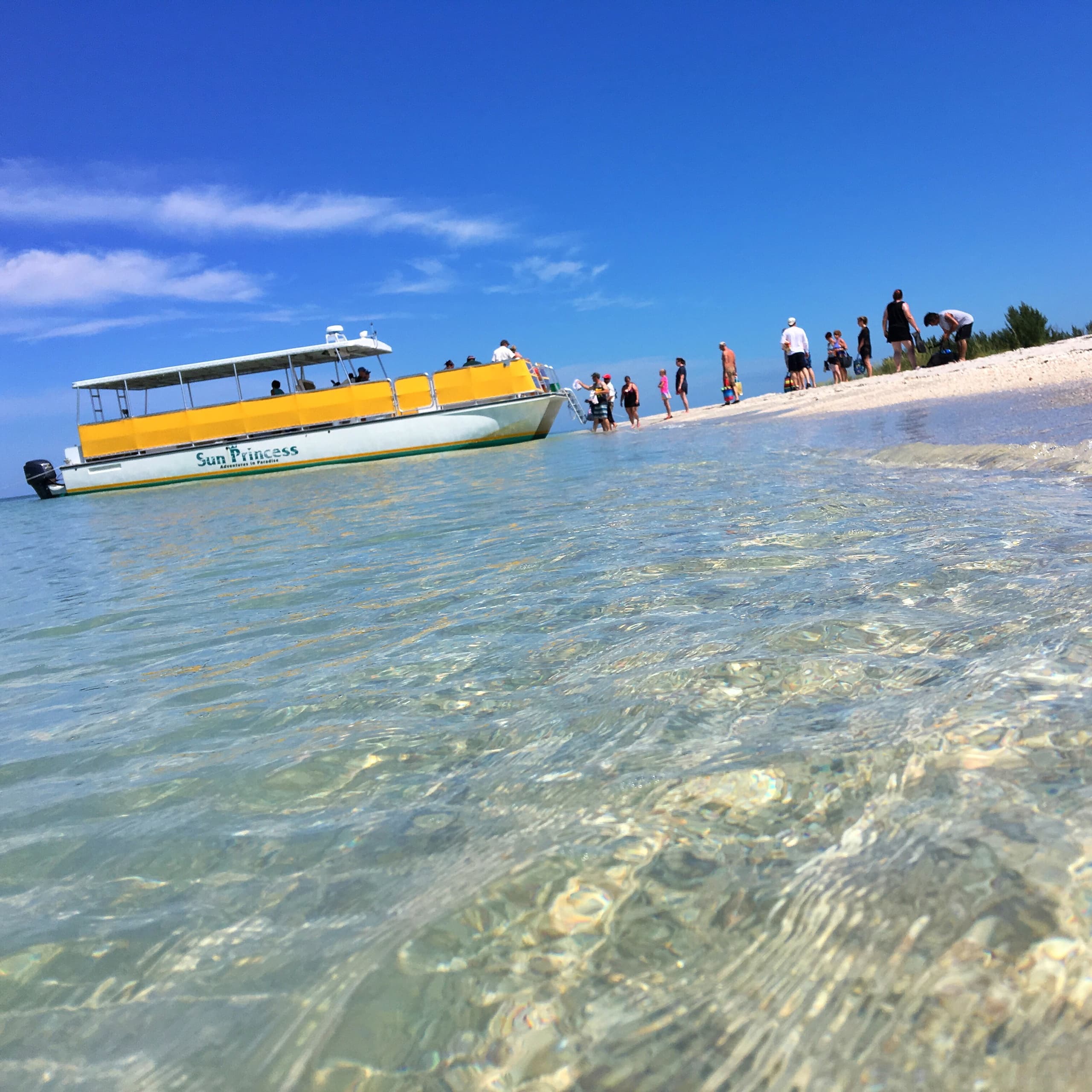 Outer Island Shelling & Dolphin Cruise | Fort Myers Beach