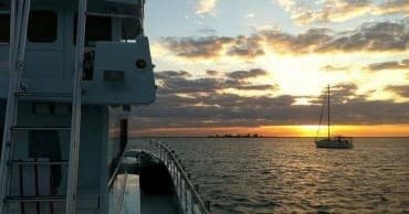 Private Sunset Dolphin Cruise
