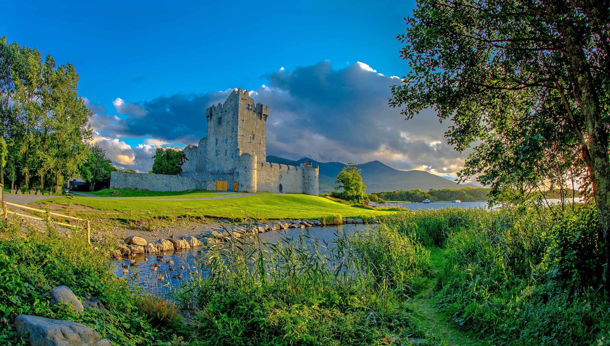 Killarney Private Day Tour