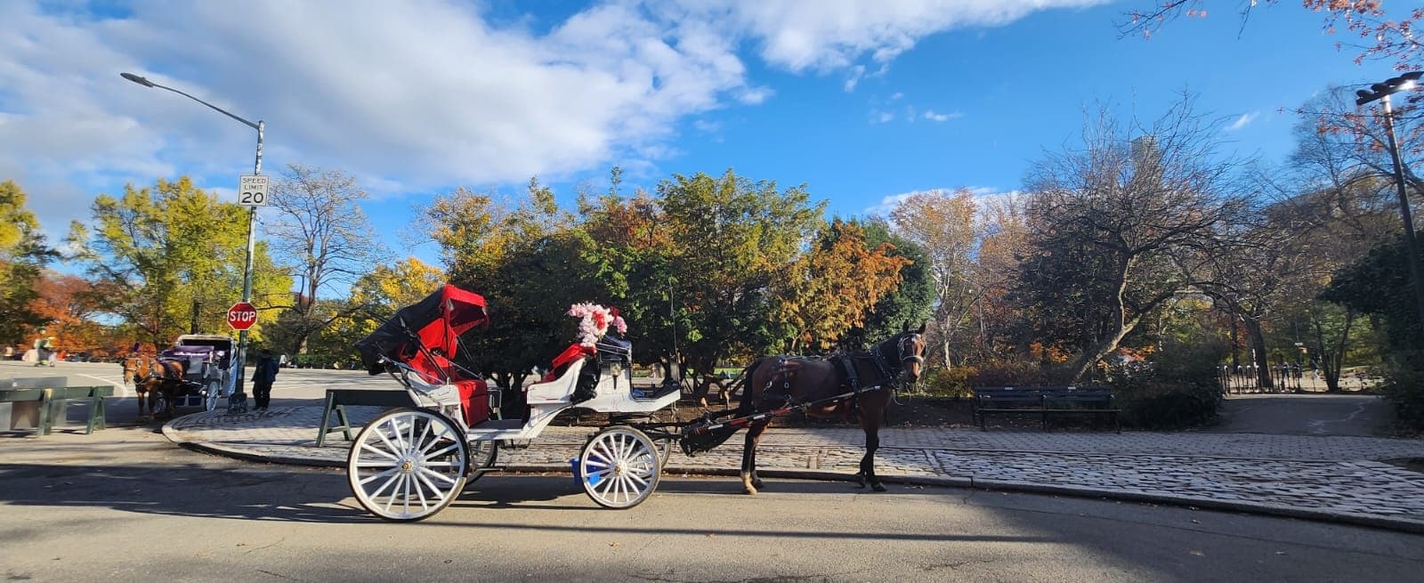 Standard Experience Horse Carriage Ride