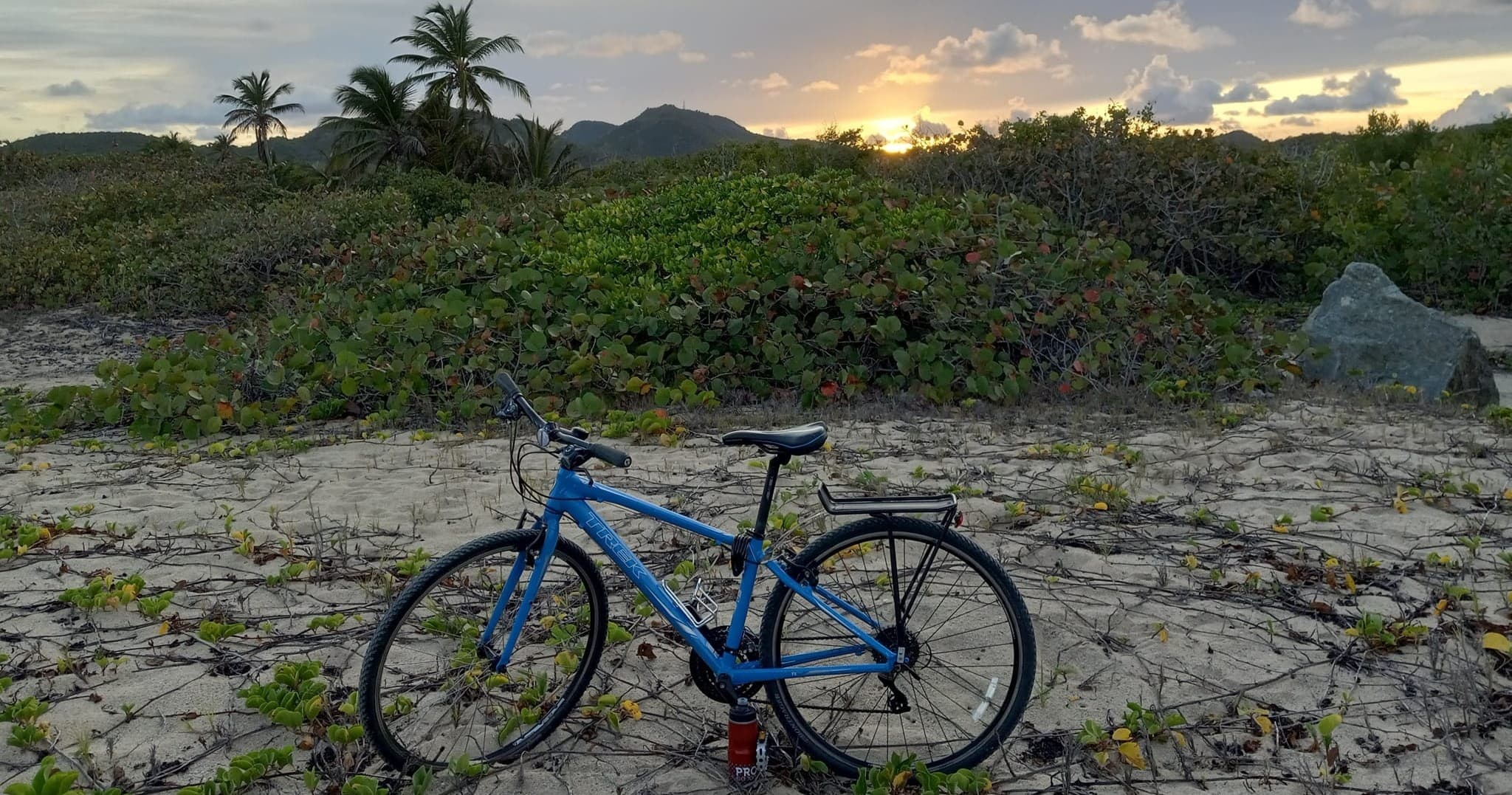 Daily Bike Rentals