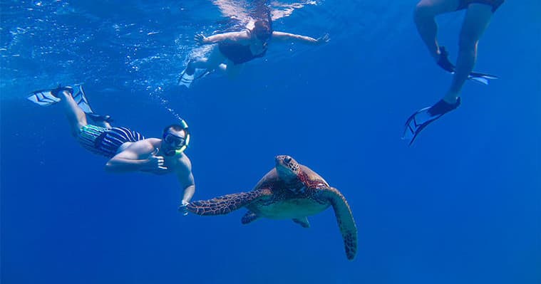 The ULTIMATE MAUI EXPERIENCE