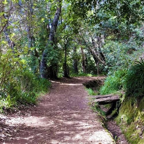 Vale Paraíso - Rochão