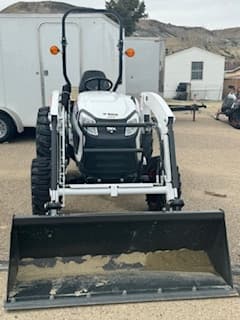 bobcat