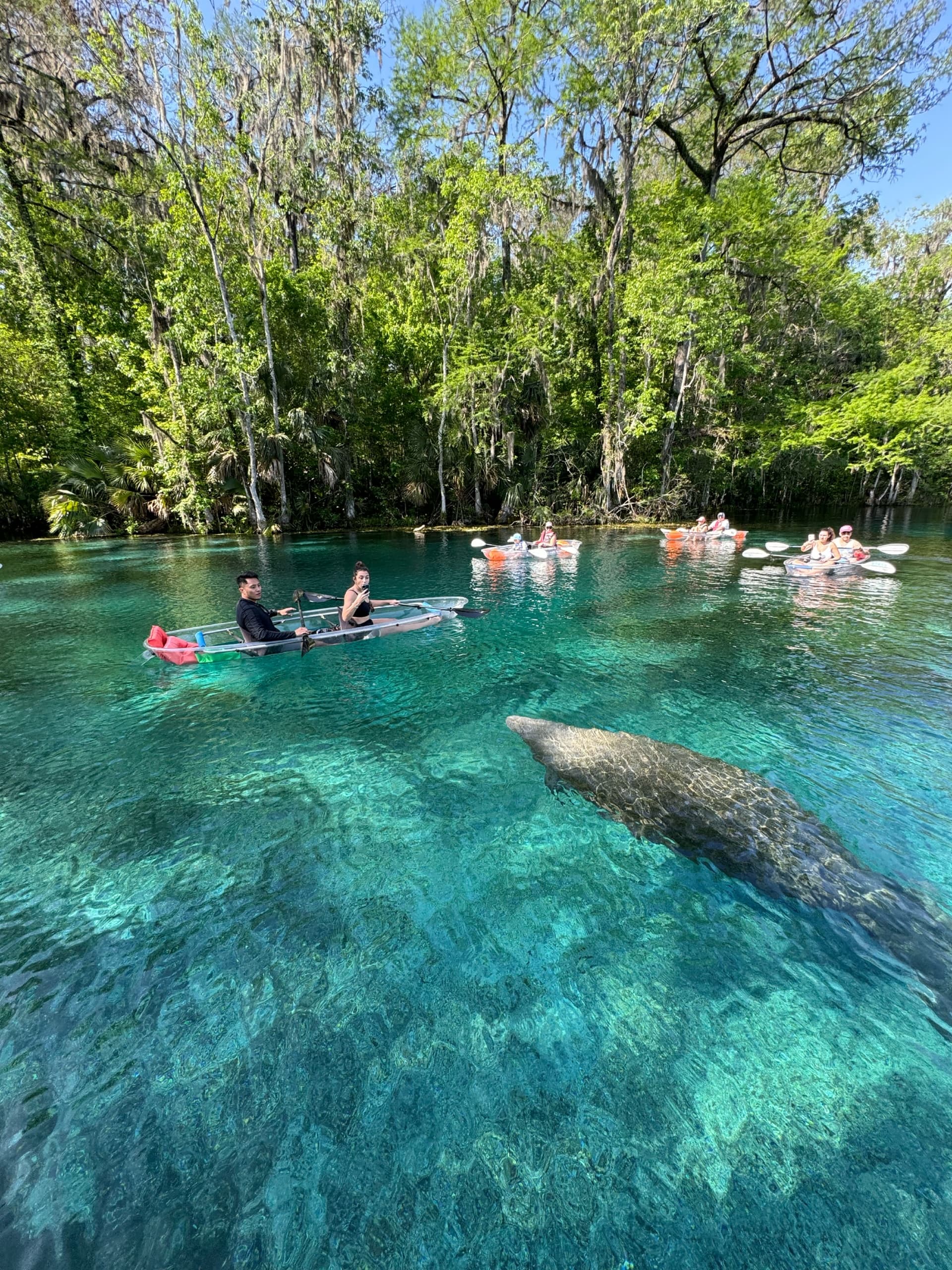 Silver River Expedition