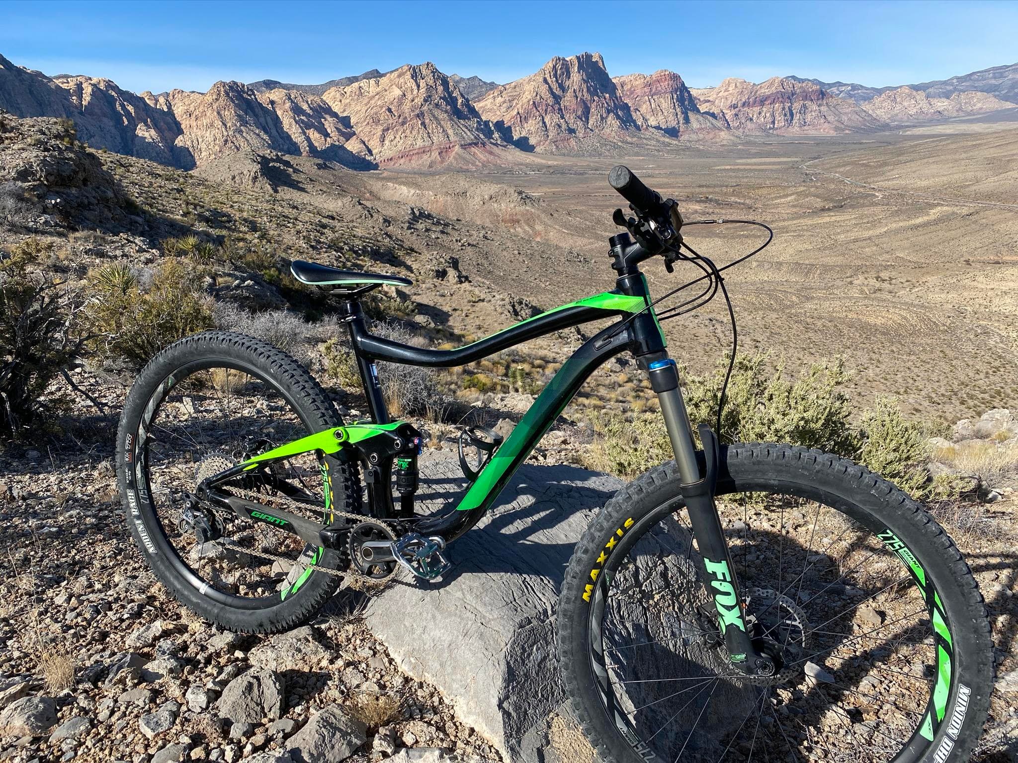 Bike Rentals