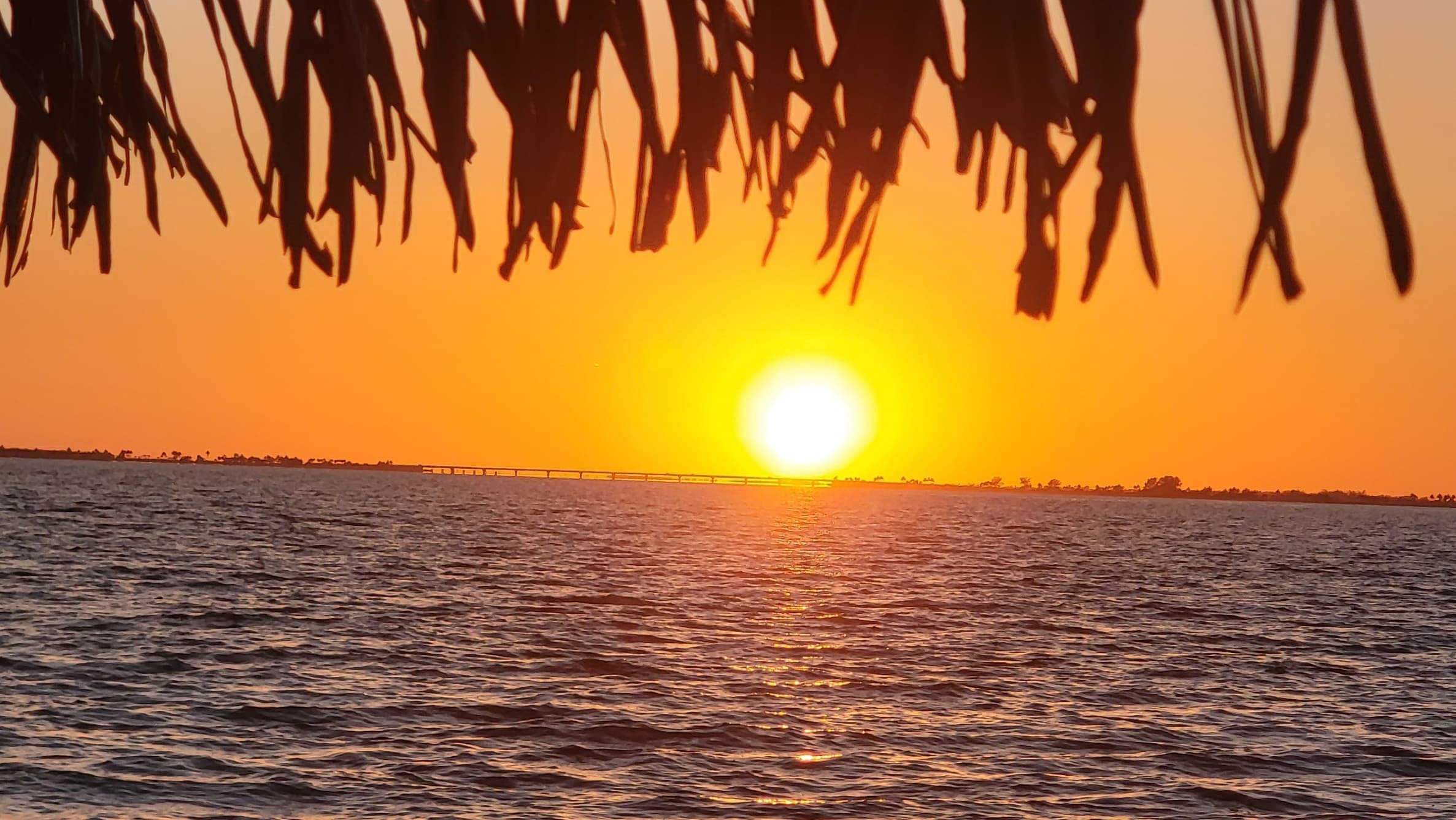 Sunset Trip
