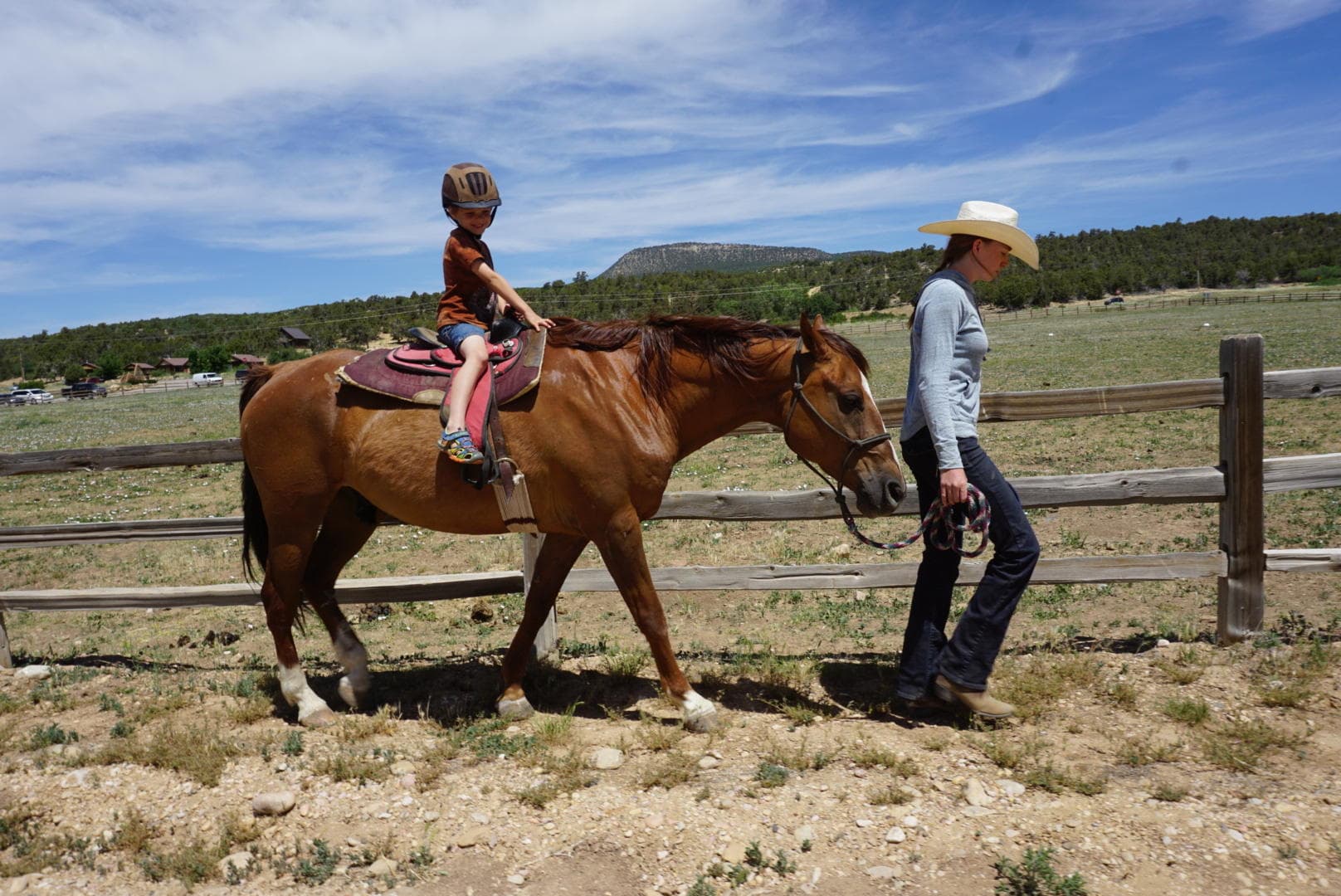 Little Wrangler Rides