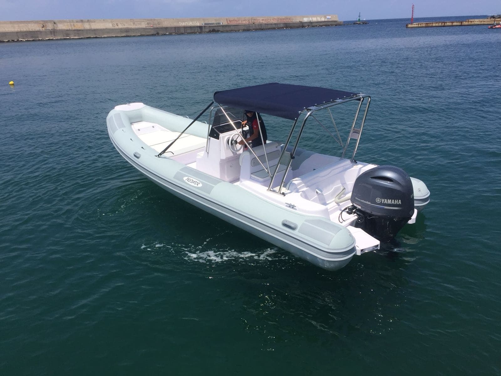 Predator 7.3m • 150hp