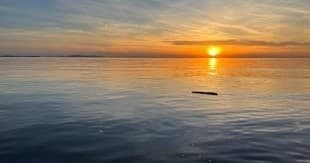 Sunset Cruise & Whale Watching